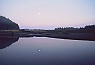 Moonrise at Mouth Quillayute River